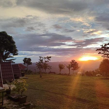 Bugo Camp Glamping & Natural Activity Munduk Buitenkant foto