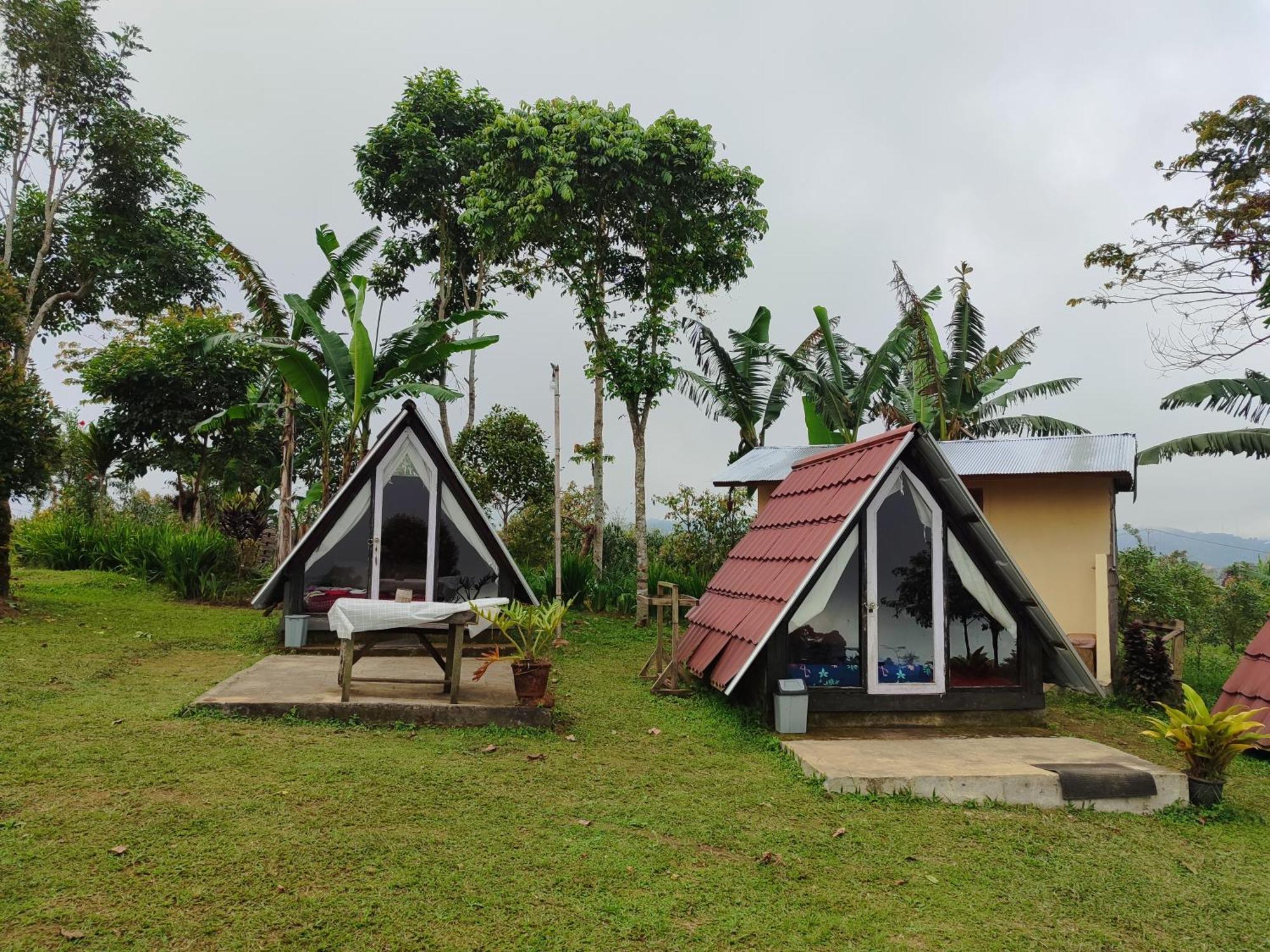 Bugo Camp Glamping & Natural Activity Munduk Buitenkant foto